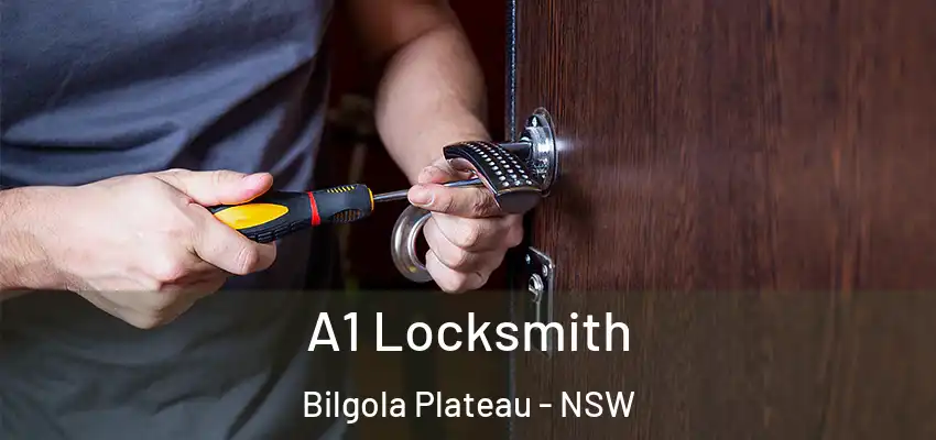 A1 Locksmith Bilgola Plateau - NSW