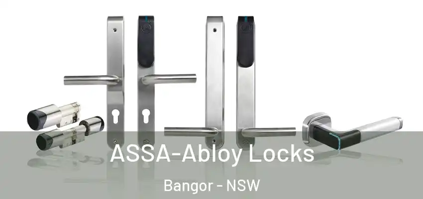 ASSA-Abloy Locks Bangor - NSW