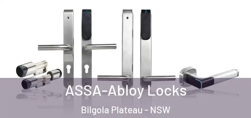 ASSA-Abloy Locks Bilgola Plateau - NSW
