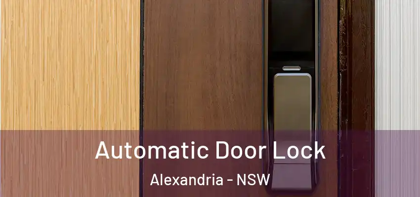 Automatic Door Lock Alexandria - NSW