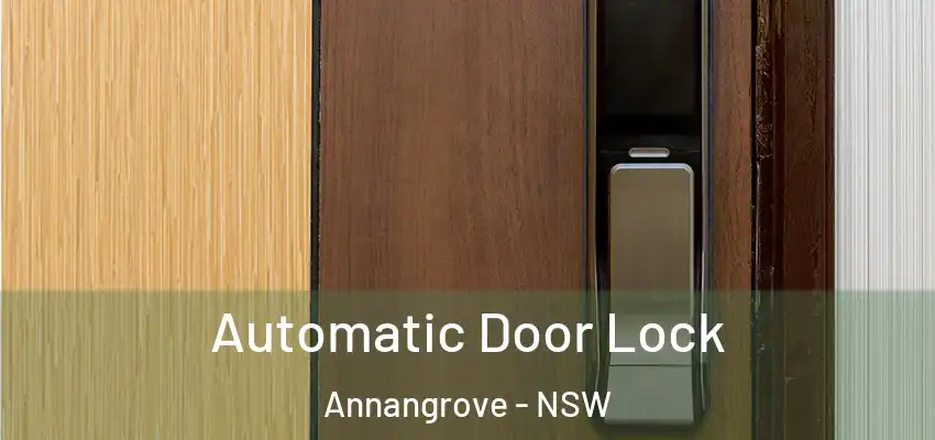 Automatic Door Lock Annangrove - NSW