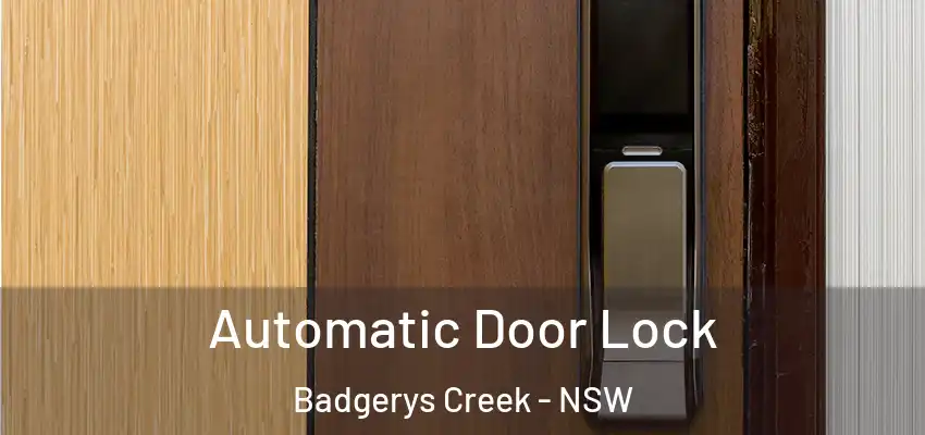 Automatic Door Lock Badgerys Creek - NSW