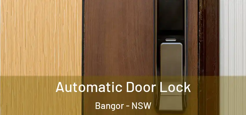 Automatic Door Lock Bangor - NSW