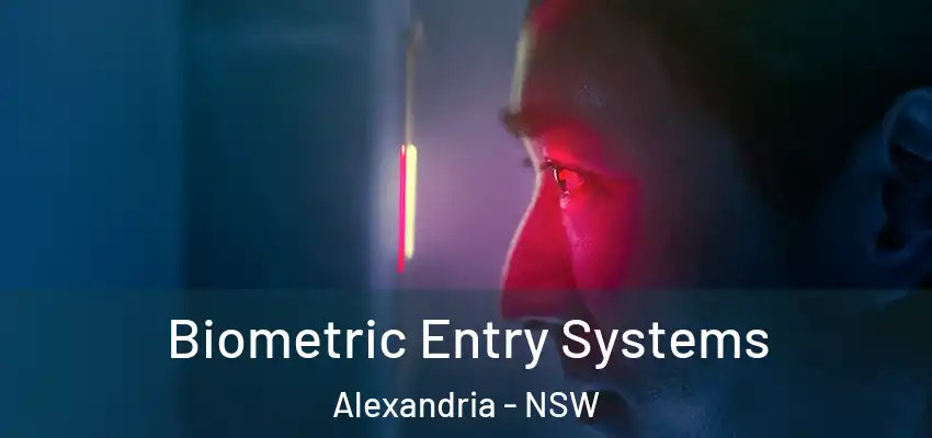 Biometric Entry Systems Alexandria - NSW