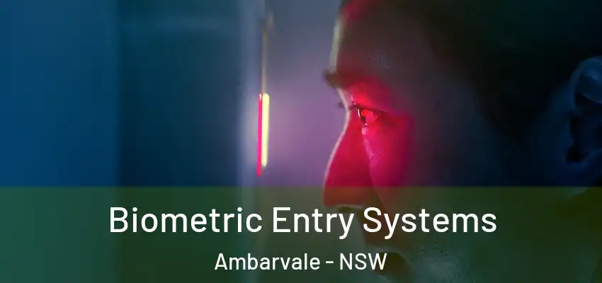Biometric Entry Systems Ambarvale - NSW
