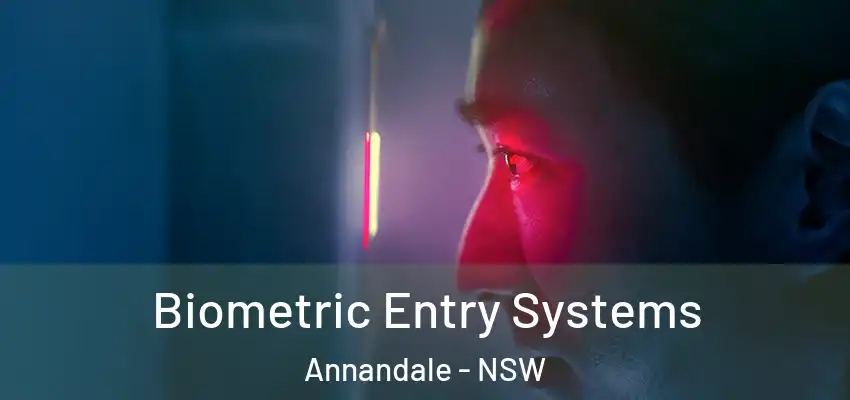 Biometric Entry Systems Annandale - NSW