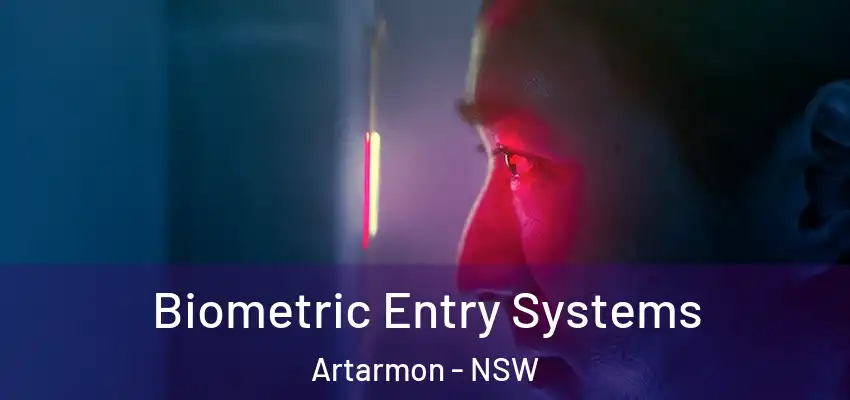 Biometric Entry Systems Artarmon - NSW