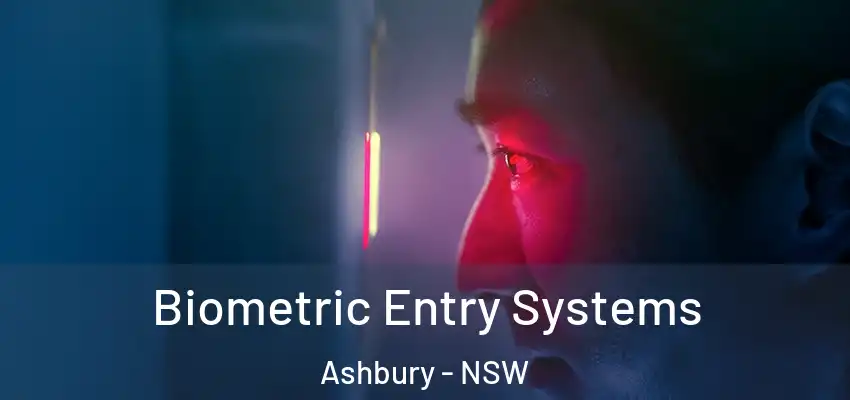 Biometric Entry Systems Ashbury - NSW