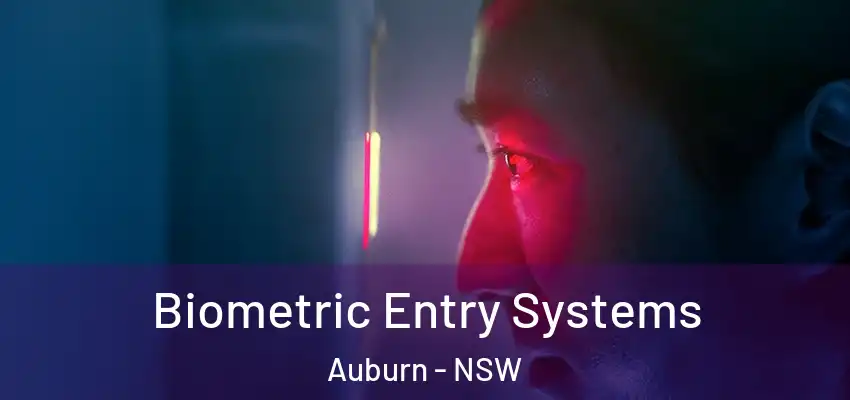 Biometric Entry Systems Auburn - NSW