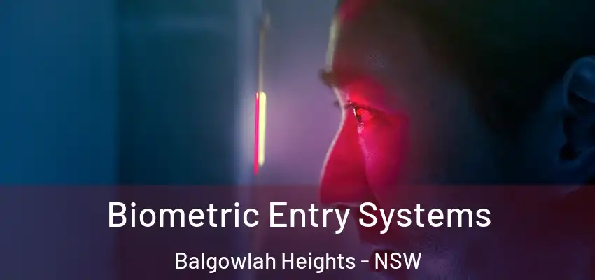 Biometric Entry Systems Balgowlah Heights - NSW