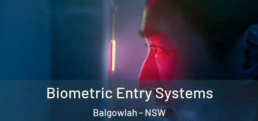 Biometric Entry Systems Balgowlah - NSW