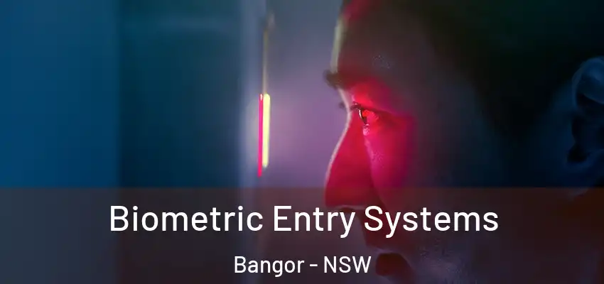 Biometric Entry Systems Bangor - NSW