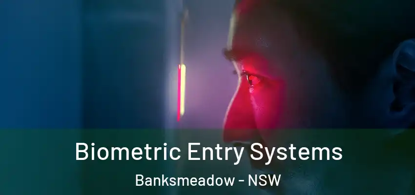 Biometric Entry Systems Banksmeadow - NSW