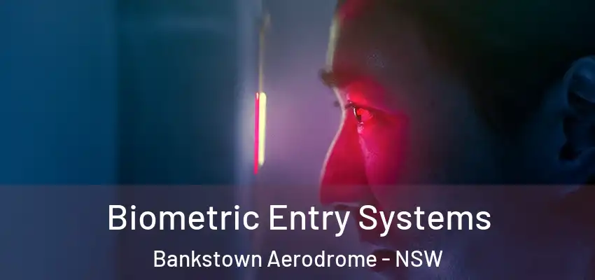 Biometric Entry Systems Bankstown Aerodrome - NSW