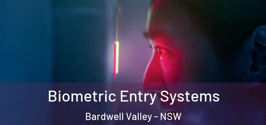  Biometric Entry Systems Bardwell Valley - NSW