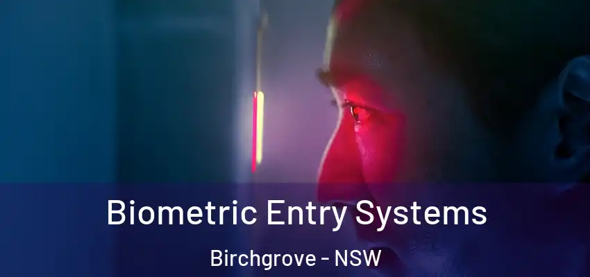 Biometric Entry Systems Birchgrove - NSW