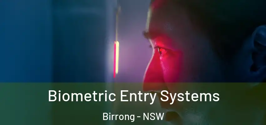 Biometric Entry Systems Birrong - NSW