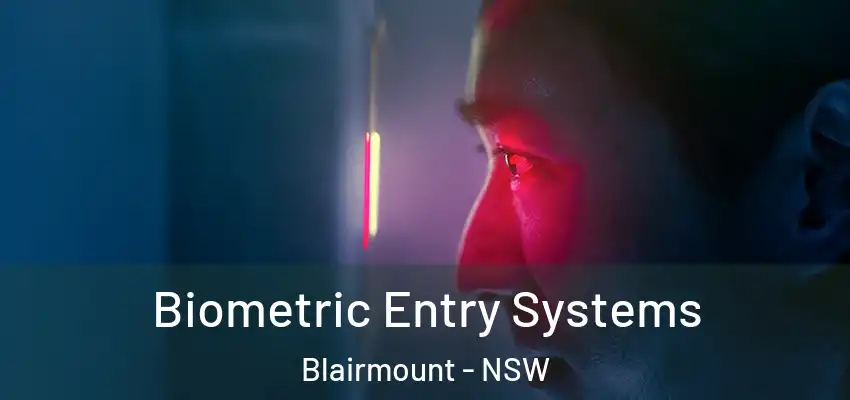 Biometric Entry Systems Blairmount - NSW