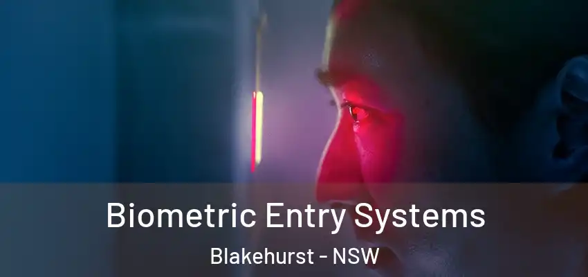 Biometric Entry Systems Blakehurst - NSW