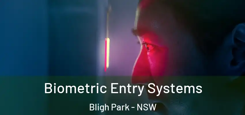 Biometric Entry Systems Bligh Park - NSW