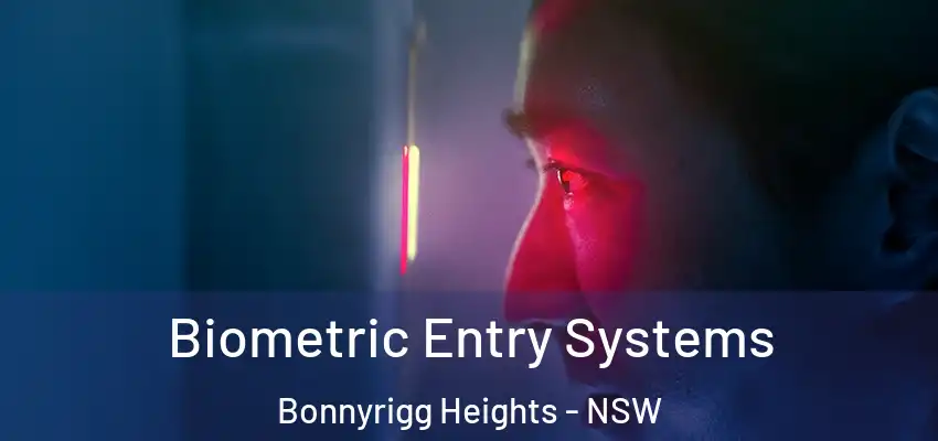 Biometric Entry Systems Bonnyrigg Heights - NSW