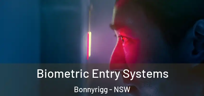 Biometric Entry Systems Bonnyrigg - NSW