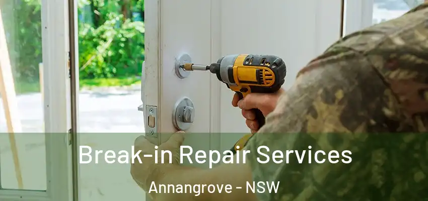 Break-in Repair Services Annangrove - NSW
