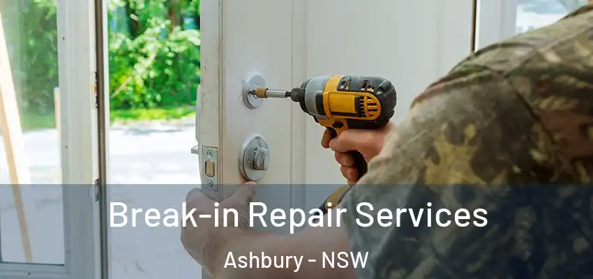 Break-in Repair Services Ashbury - NSW