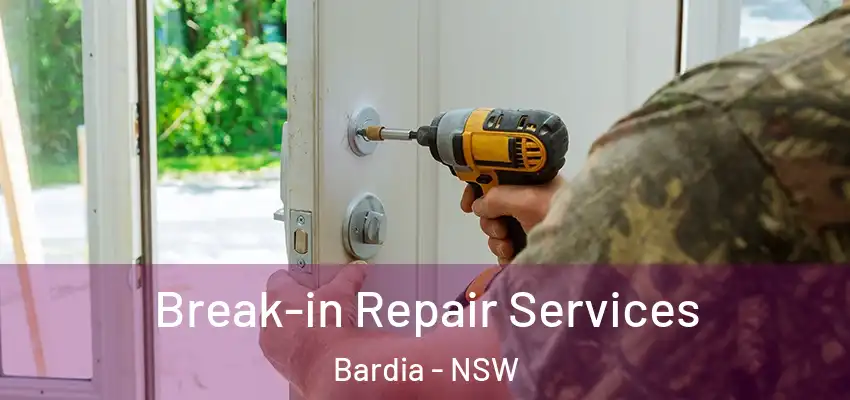 Break-in Repair Services Bardia - NSW
