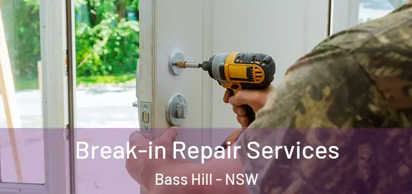 Break-in Repair Services Bass Hill - NSW
