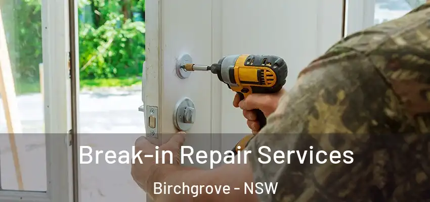 Break-in Repair Services Birchgrove - NSW