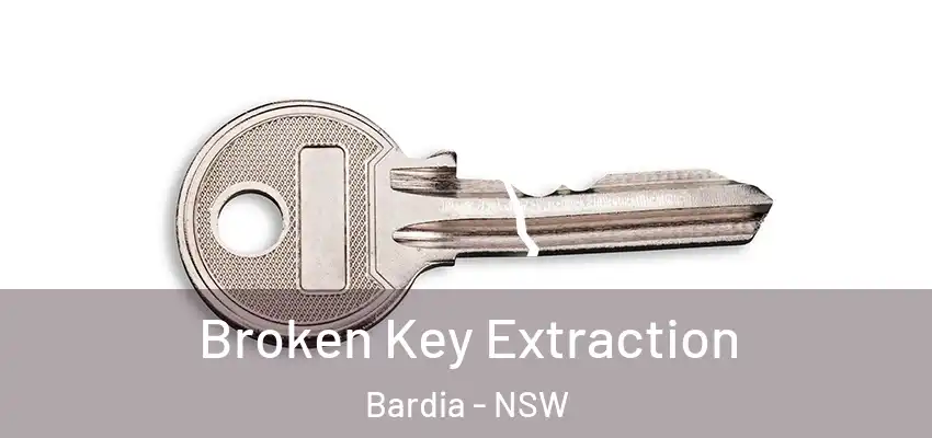 Broken Key Extraction Bardia - NSW
