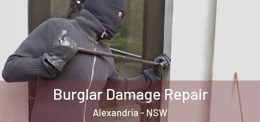 Burglar Damage Repair Alexandria - NSW