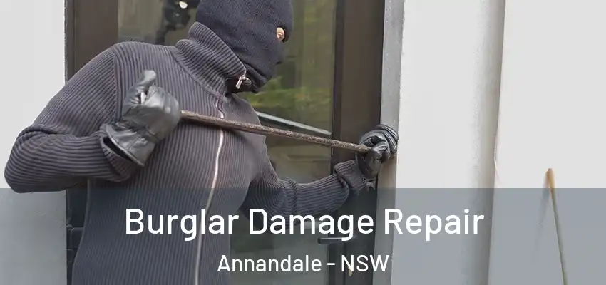 Burglar Damage Repair Annandale - NSW