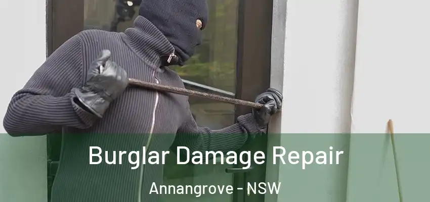 Burglar Damage Repair Annangrove - NSW
