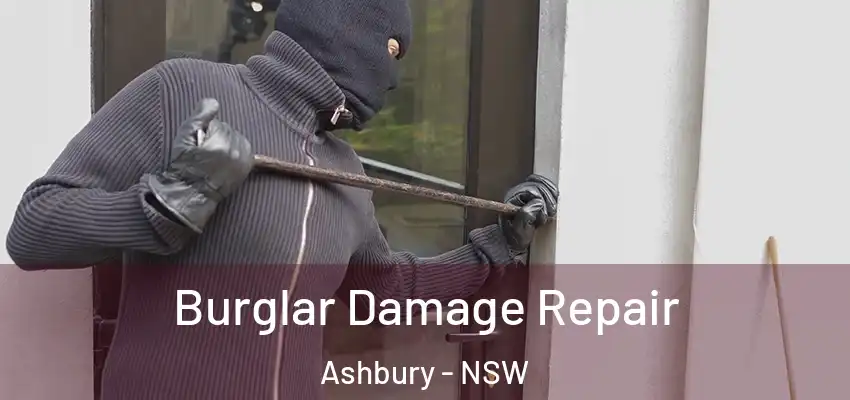 Burglar Damage Repair Ashbury - NSW