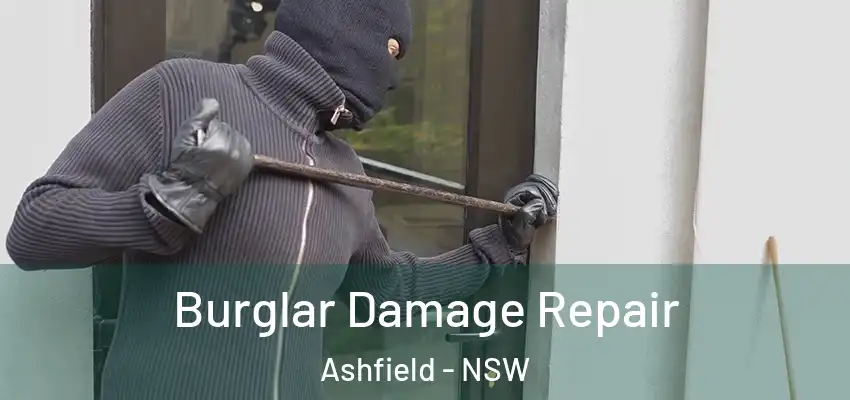 Burglar Damage Repair Ashfield - NSW