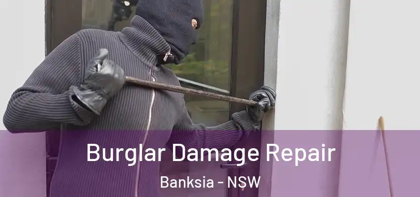 Burglar Damage Repair Banksia - NSW