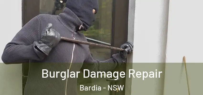 Burglar Damage Repair Bardia - NSW