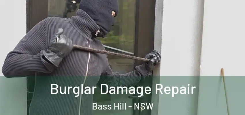 Burglar Damage Repair Bass Hill - NSW
