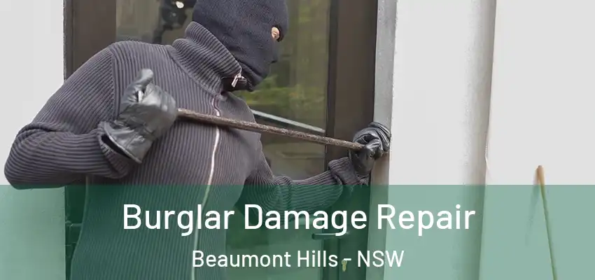 Burglar Damage Repair Beaumont Hills - NSW