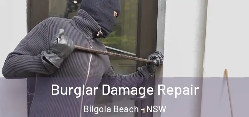 Burglar Damage Repair Bilgola Beach - NSW
