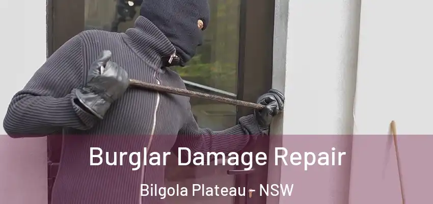 Burglar Damage Repair Bilgola Plateau - NSW