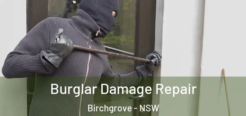 Burglar Damage Repair Birchgrove - NSW