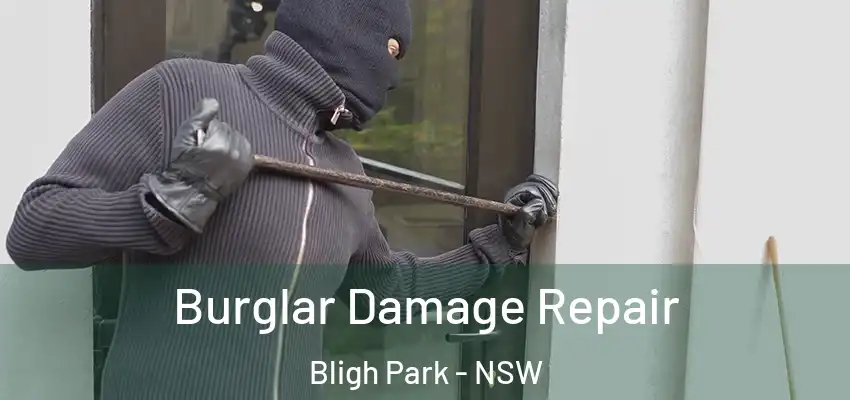 Burglar Damage Repair Bligh Park - NSW