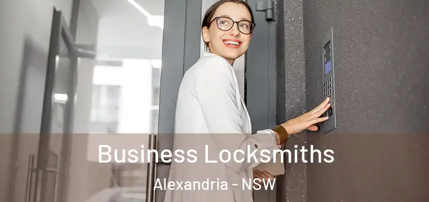 Business Locksmiths Alexandria - NSW