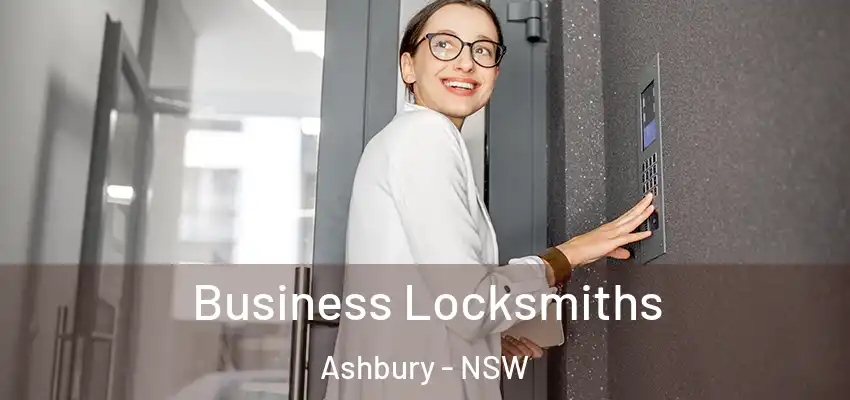 Business Locksmiths Ashbury - NSW