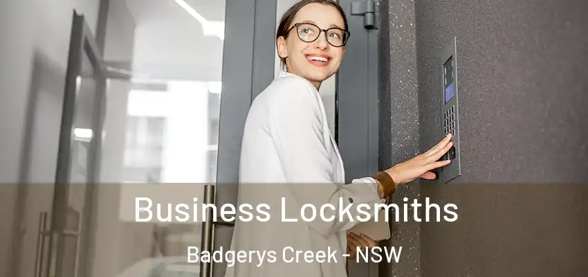 Business Locksmiths Badgerys Creek - NSW