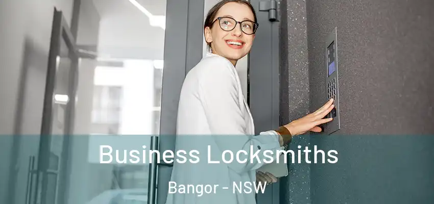 Business Locksmiths Bangor - NSW