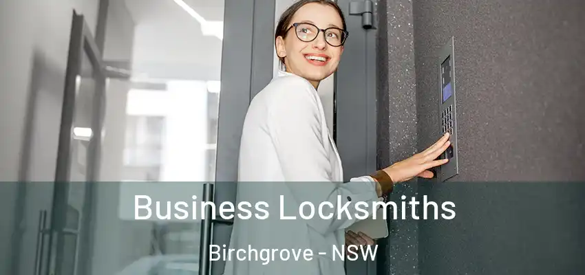 Business Locksmiths Birchgrove - NSW
